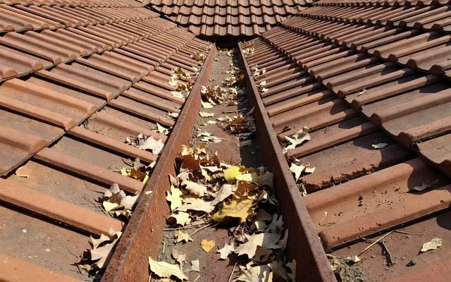 A rusted valley iron collecting leaf debris